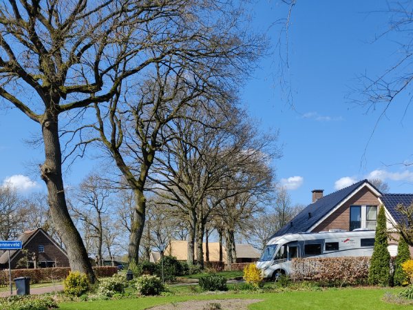 Bomen bij een woning met een helder blauwe lucht