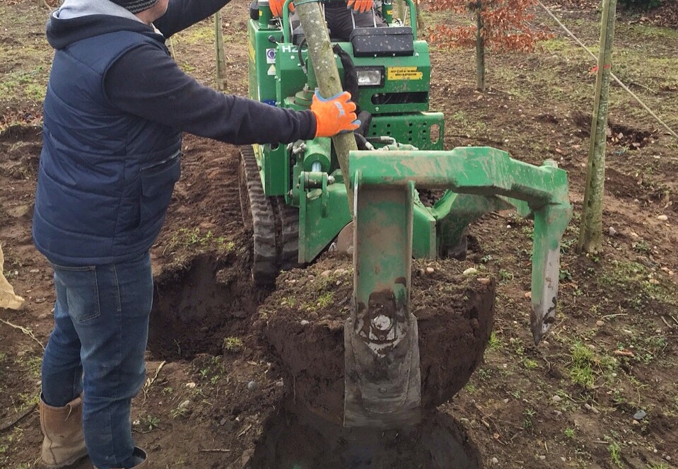 Laat jouw bomen verplaatsen door de deskundigen van Groentechniek Klomp.