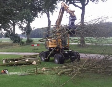 Omgewaaide Bomen Verwijderen - Groentechniek Klomp